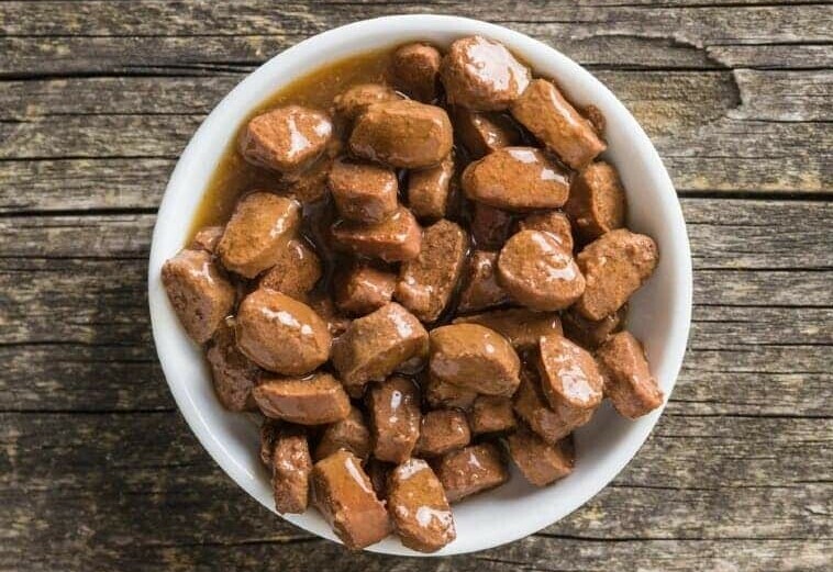 how to choose the right kitten food